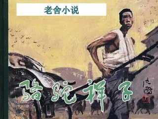 每日大赛在线观看入口